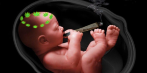 курение каннабиса беременным 
